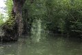 (22) Le Marais Poitevin